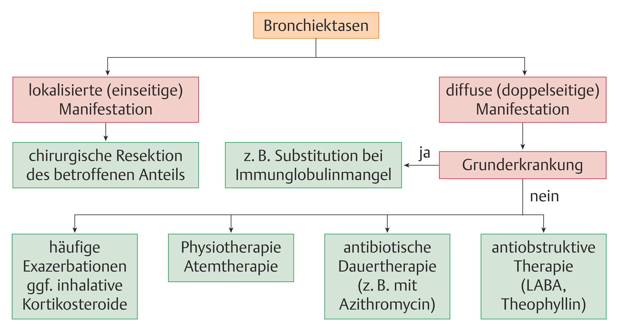 Abb.75.4-Algorithmus-der-Bronchiektasentherapie