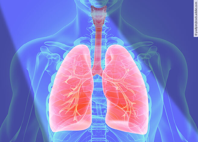 4zevar/stock.adobe.com